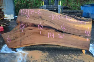 122118-06 Elm Slab