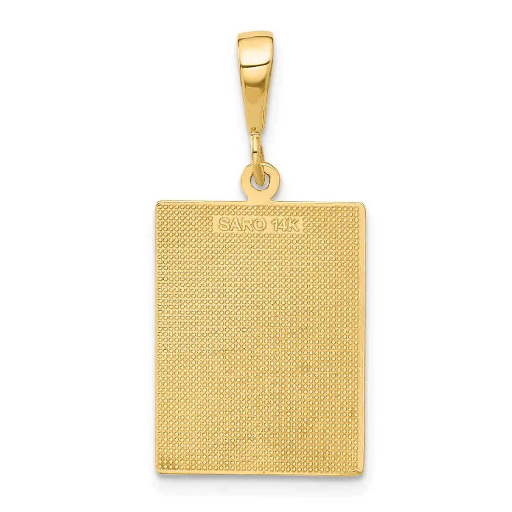 14k Caduceus Pendant