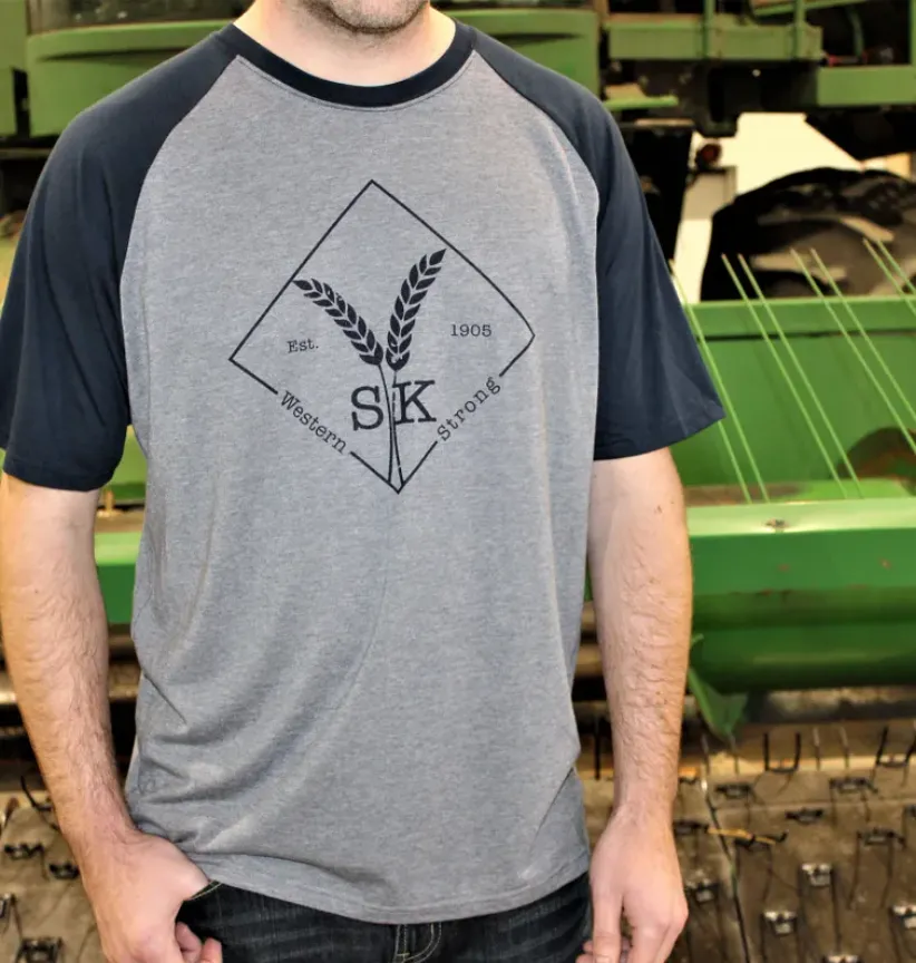 CLMenTeeWesternStron-S-Gry/Blu Mens Western Strong Tee