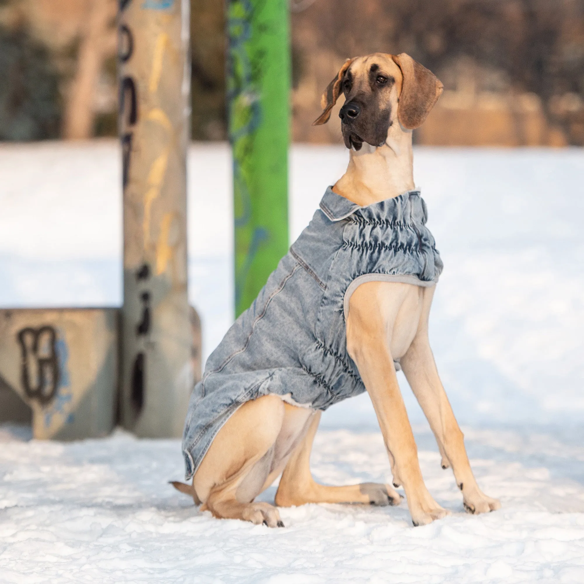 Dog Denim Jacket - Light Wash