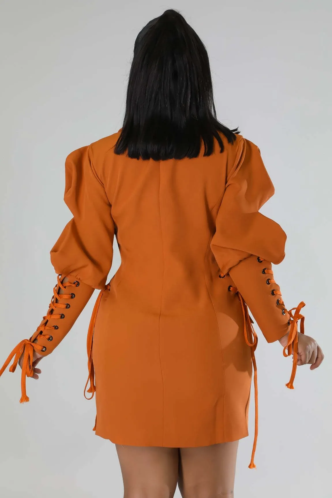 Double Breasted  Blazer Dress