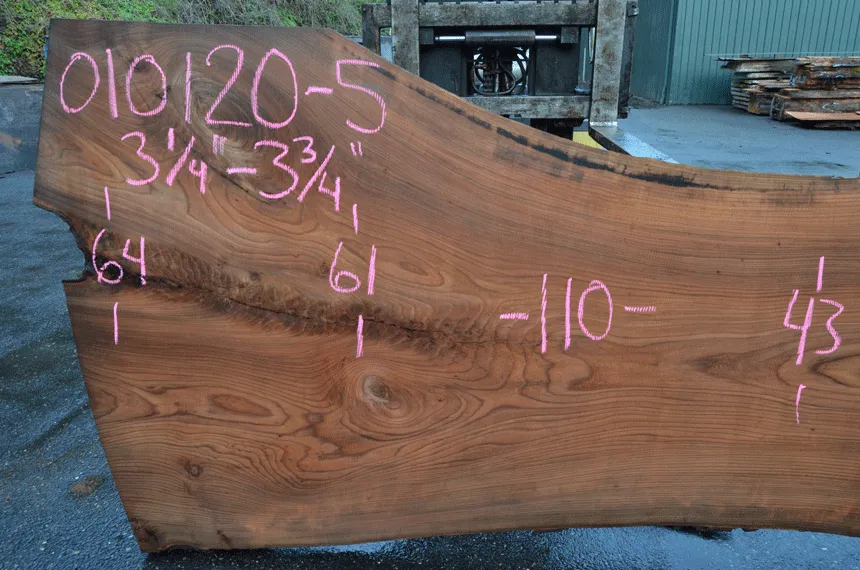 Elm Slab 010120-05