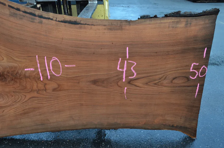 Elm Slab 010120-05