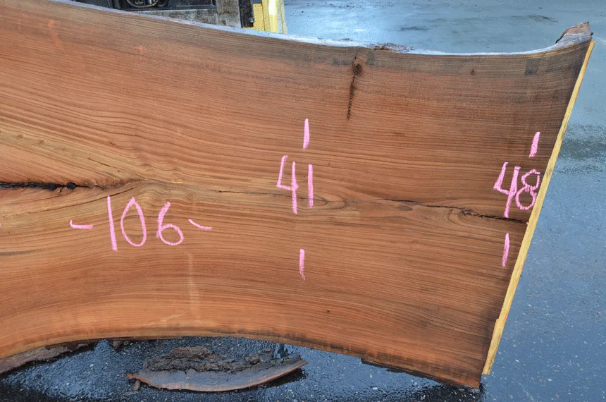 Elm Slab 010120-06