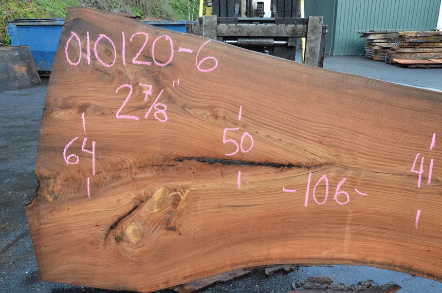 Elm Slab 010120-06