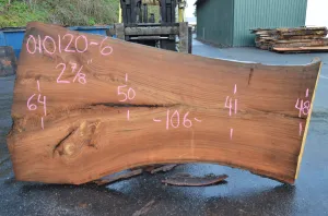 Elm Slab 010120-06