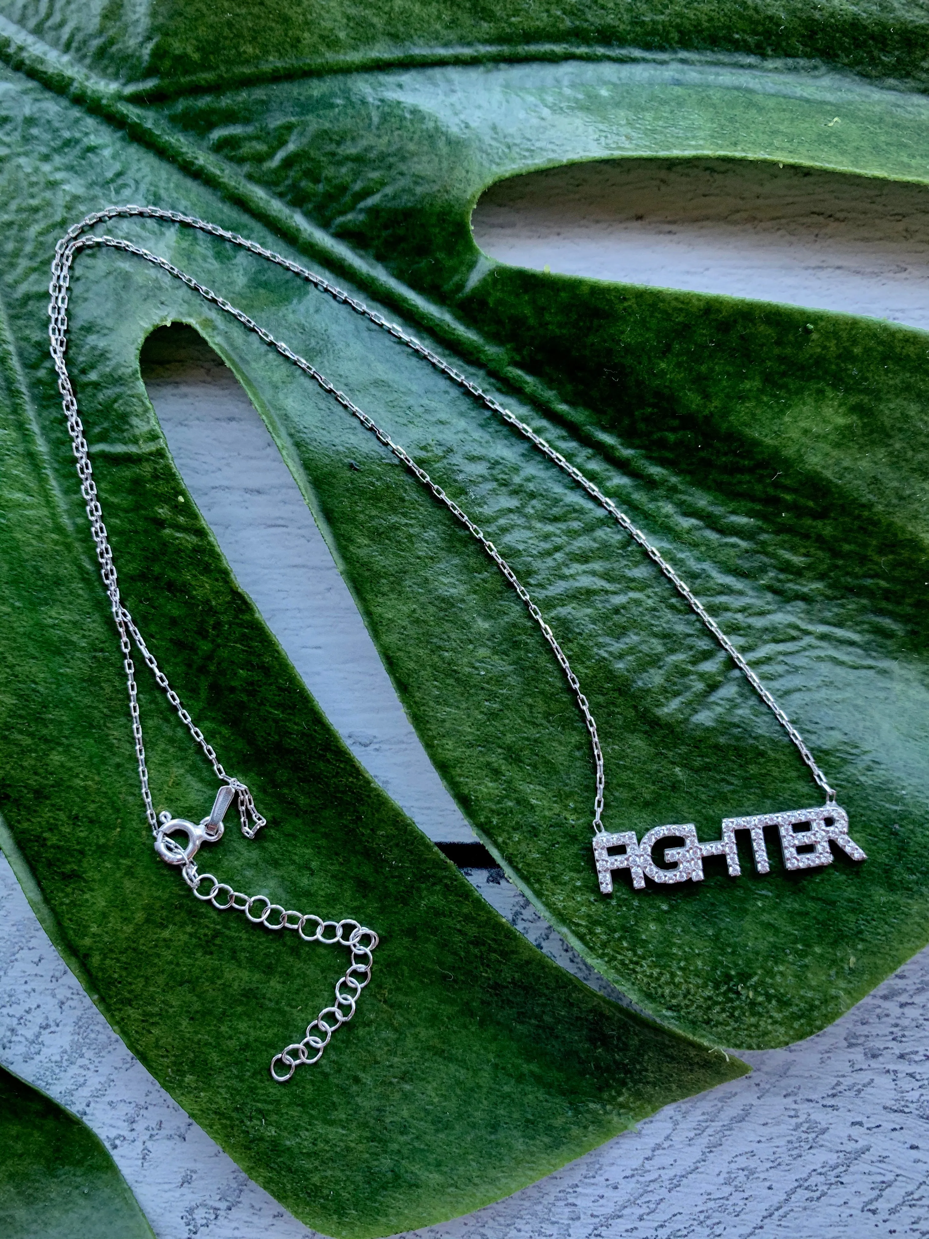 FIGHTER