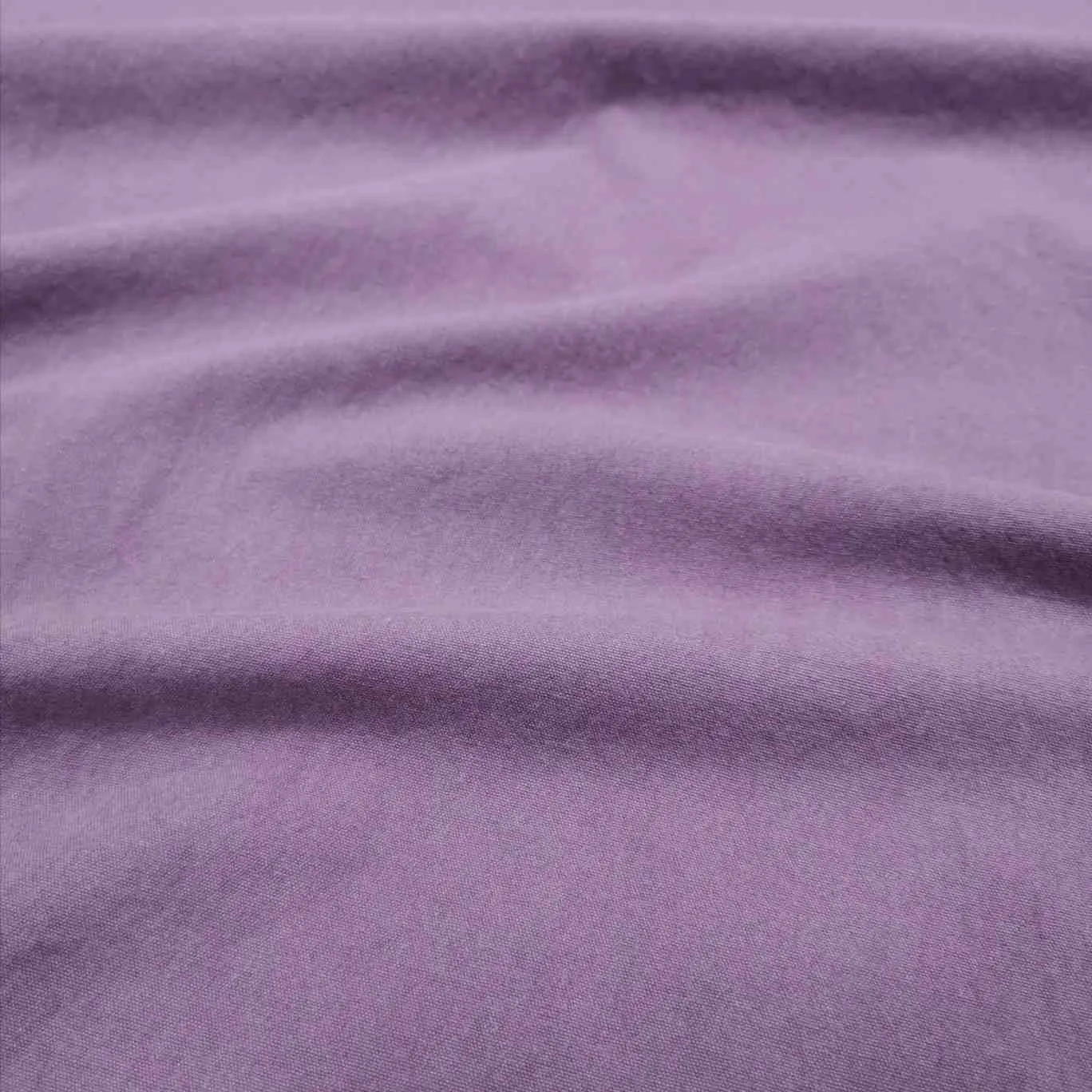 Fortney Cotton, Plum