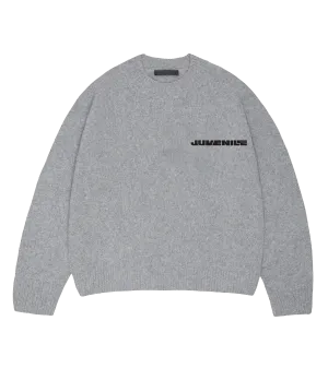 Grey Juvenile Logo Knit Sweater
