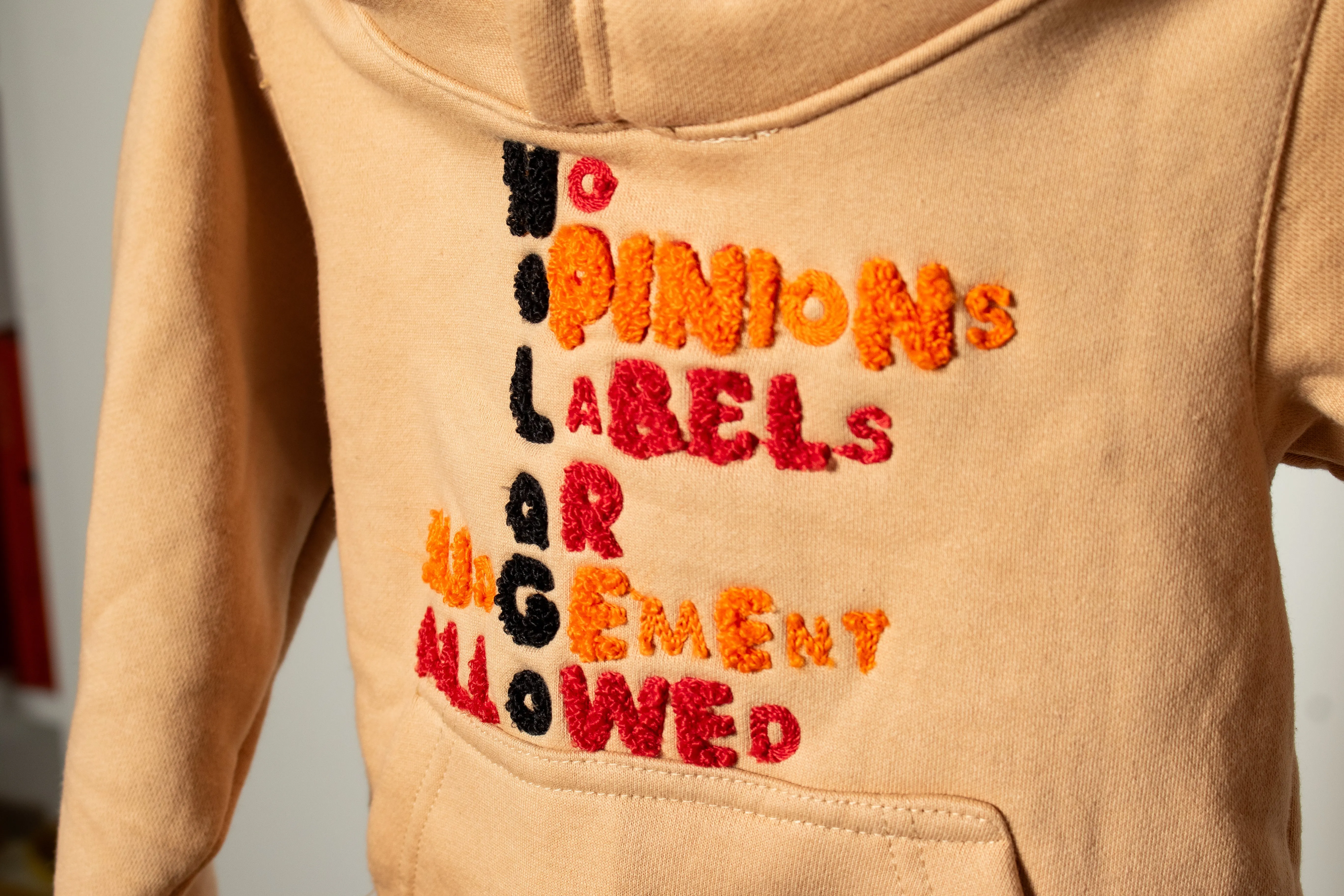 Mission statement  toddler hoodie set
