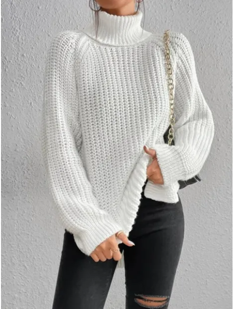 Oversized turtleneck sweater