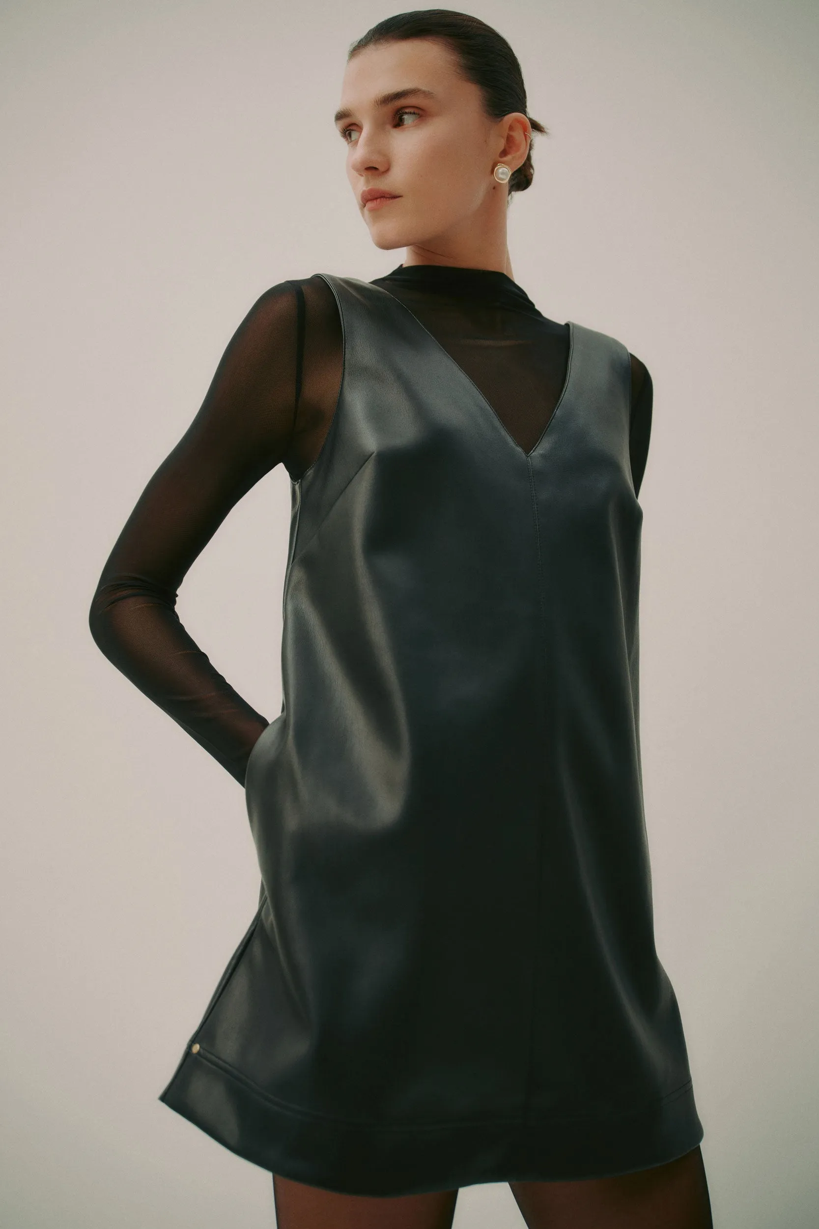Raven Mini Dress
