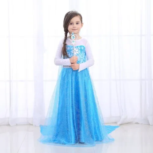 Snow Princess Queen Dresses
