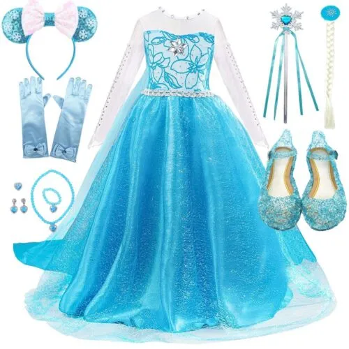 Snow Princess Queen Dresses