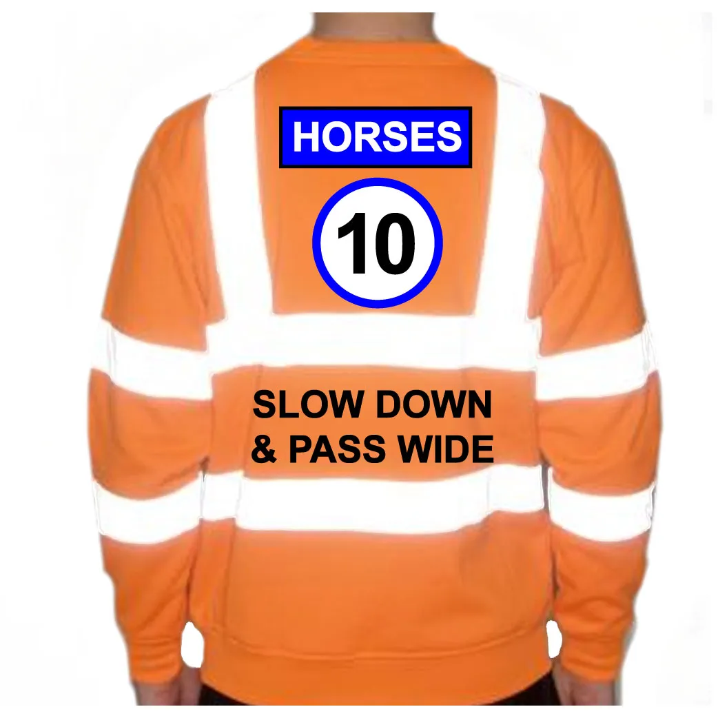 Unisex Hi-Vis Reflective Jumper/Sweatshirt - HORSES 10MPH SLOW DOWN